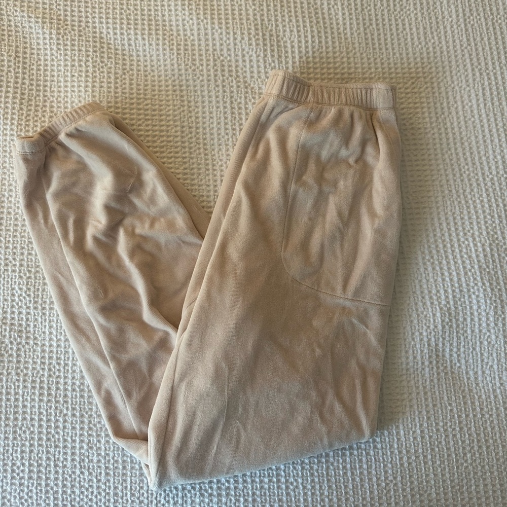Velour Aerie sweatpants size small